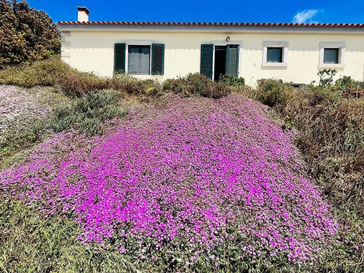 La Striscia Larga Bed & Breakfast San Pasquale